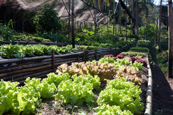 فيلا Cajamarفي Fazenda Montanhas Do Japi المظهر الخارجي الصورة